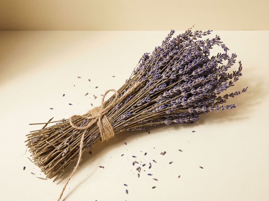 Dried lavender bundle tied with natural twine