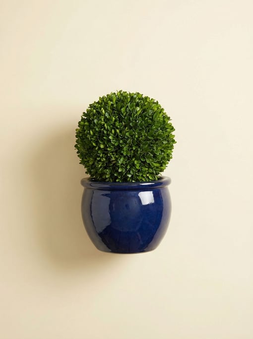 Small potted topiary sphere in a glazed navy ceramic pot, overhead studio light with gentle shadow