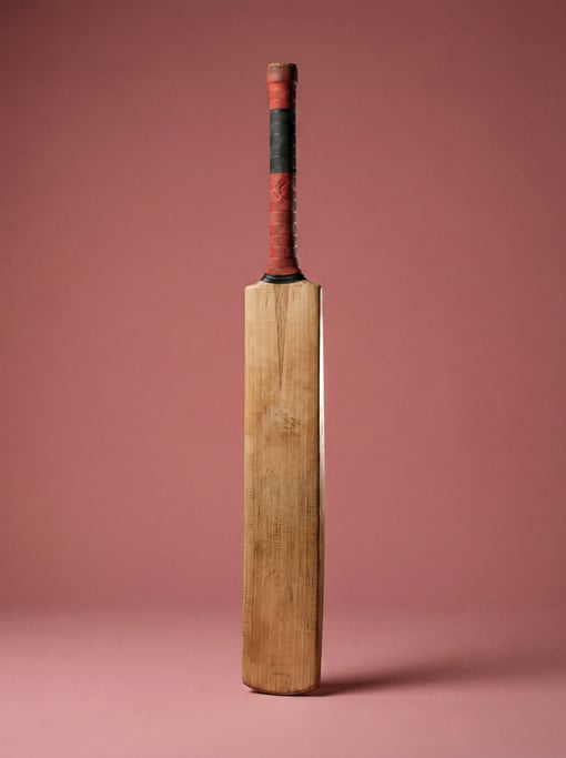 Wooden cricket bat with a pressed blade and rubber grip