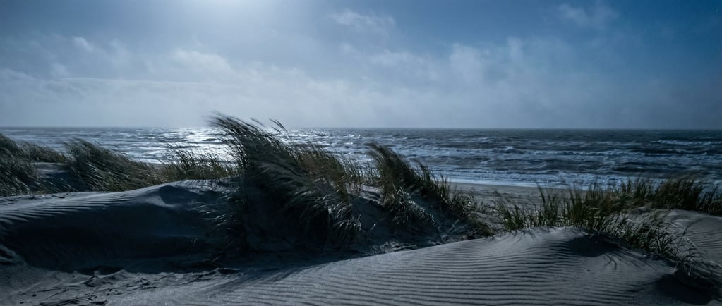 Coastal dune grass bending in strong wind, sand ripples in the foreground, stormy sea beyond
