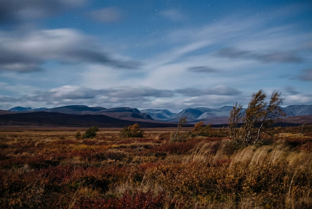 Arctic tundra in autumn, low red and orange groundcover stretching flat to a vast open horizon