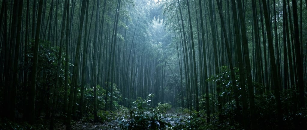 Bamboo grove, perfectly vertical green stalks in dense rows