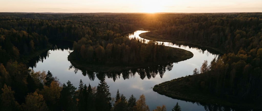 Meandering river through dense autumn forest seen from above
