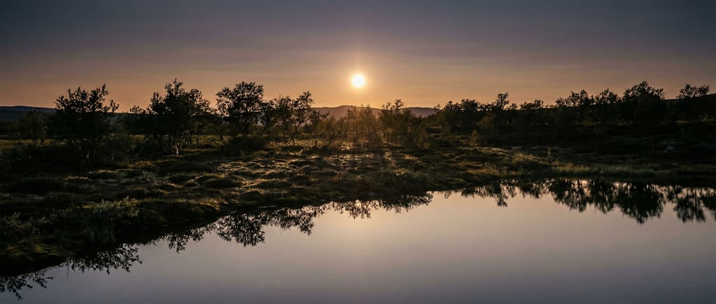 Midnight sun hovering just above the arctic horizon, casting endless golden light across tundra (sgizckea)