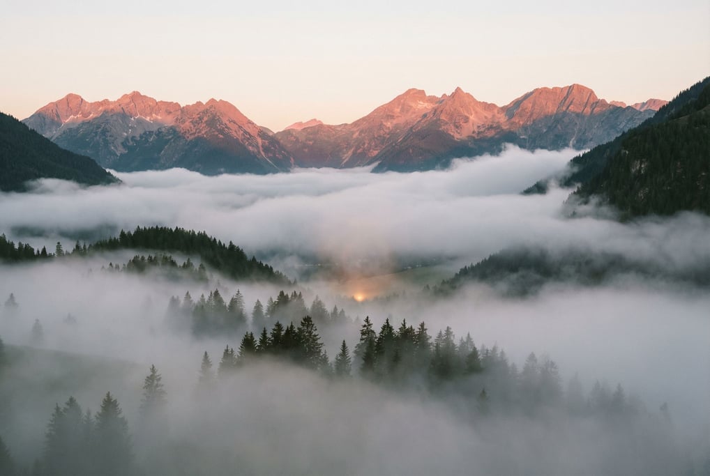 Fog filling a mountain valley at sunrise, treetops poking through like dark islands in a white sea (cn50sros)