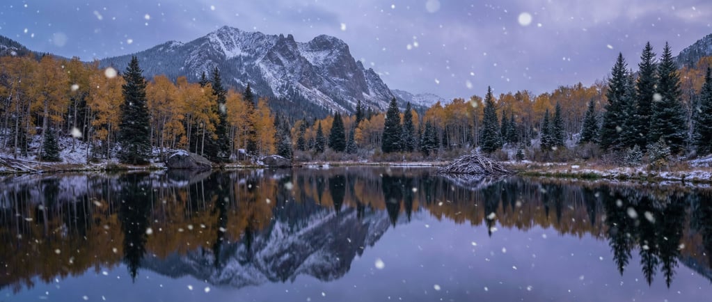 Autumnal mountain reflected in a beaver pond, aspen gold and spruce green doubled in still water (euww7ril)