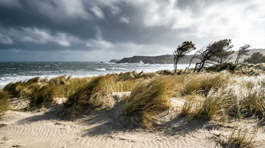 Coastal dune grass bending in strong wind, sand ripples in the foreground, stormy sea beyond (wvnocbry)