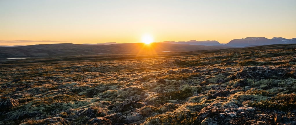 Midnight sun hovering just above the arctic horizon, casting endless golden light across tundra (gnez10zs)