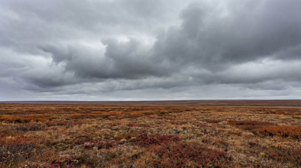 Arctic tundra in autumn, low red and orange groundcover stretching flat to a vast open horizon (tkhrrdvw)