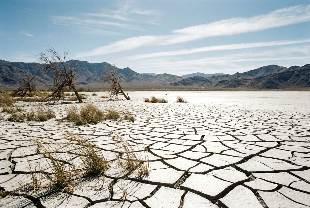 Dried lakebed with cracking mud patterns stretching to distant mountains, bleached white and minimal (cfjwhdcn)