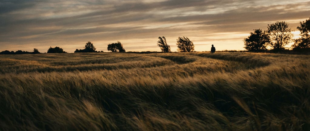 Wheat field with wind creating visible wave patterns across golden stalks, endless and hypnotic (fgwjukuf)
