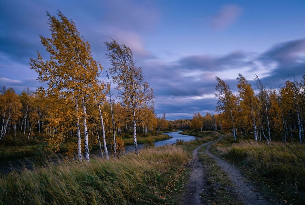 A birch forest in peak autumn, golden leaves against white bark (tuqqbdlq)