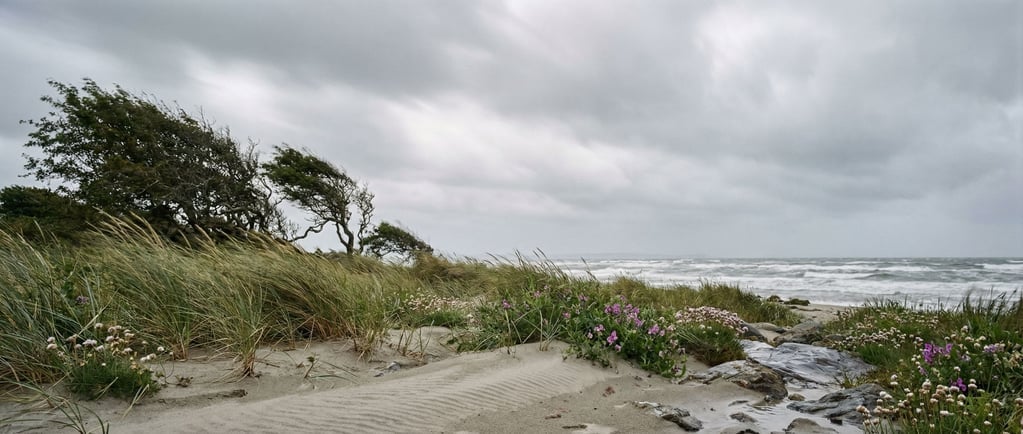 Coastal dune grass bending in strong wind, sand ripples in the foreground, stormy sea beyond (v)