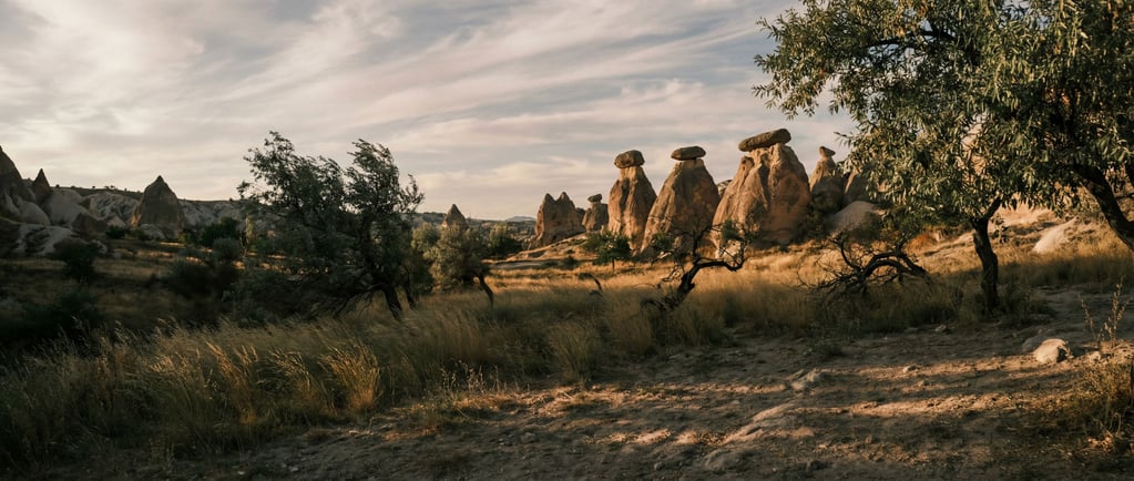 Fairy chimneys in Cappadocia, erosion-carved stone towers with balanced cap rocks (9dx11mti)
