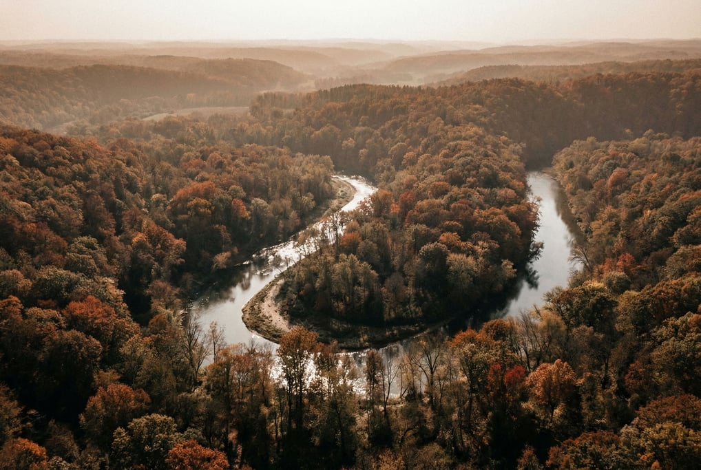 Meandering river through dense autumn forest seen from above (1hfsegnl)