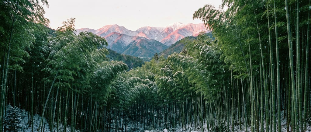 Bamboo grove, perfectly vertical green stalks in dense rows (bwxopzg9)