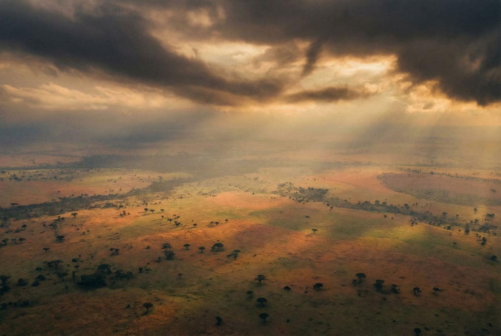 Vast savanna at golden hour, scattered acacia trees silhouetted against a wide orange sky (2xaokmn8)