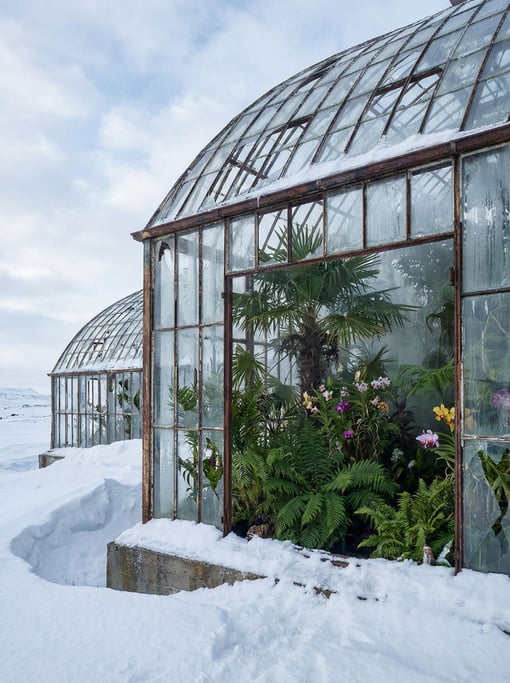 A vast greenhouse with broken glass panels standing in an arctic landscape
