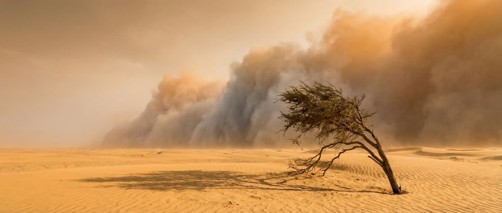 A sandstorm approaching across the Sahara