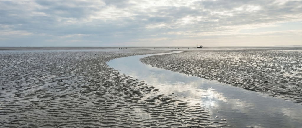 A tidal flat at low water on the Wadden Sea