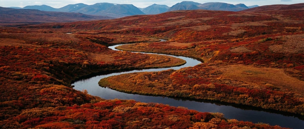 A tundra river in autumn from a high vantage