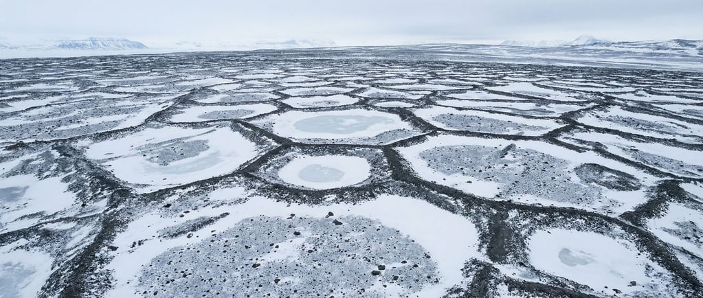 A frost-heave landscape in Svalbard