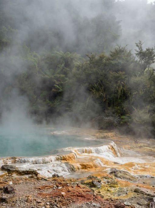A volcanic hot spring in New Zealand
