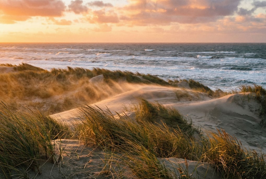 A coastal dune system at sunrise