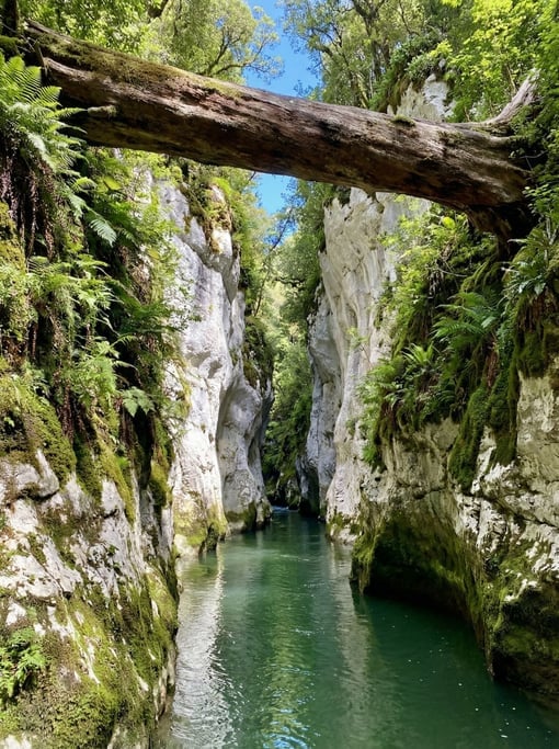 A limestone gorge river in clear emerald water