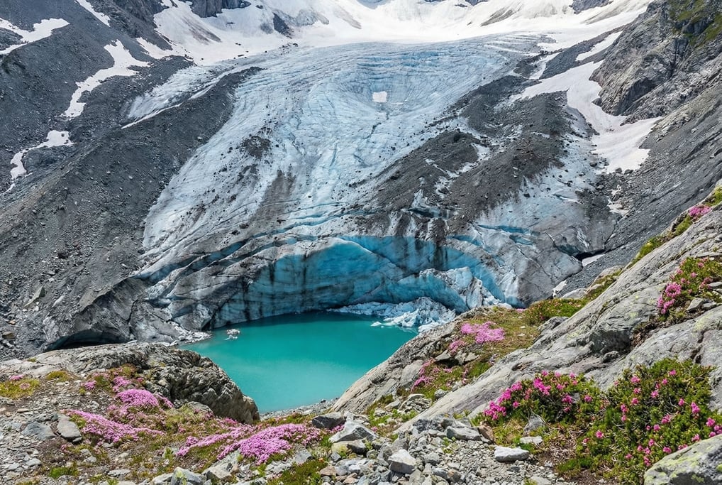A cirque glacier in summer