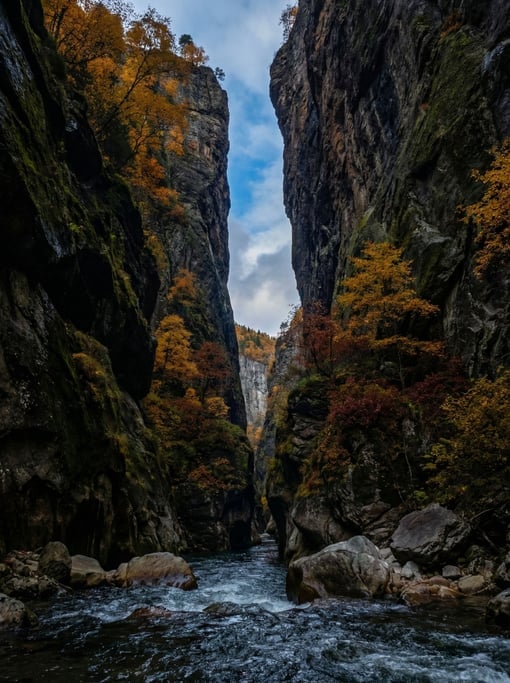 A river canyon in autumn shot from below looking up