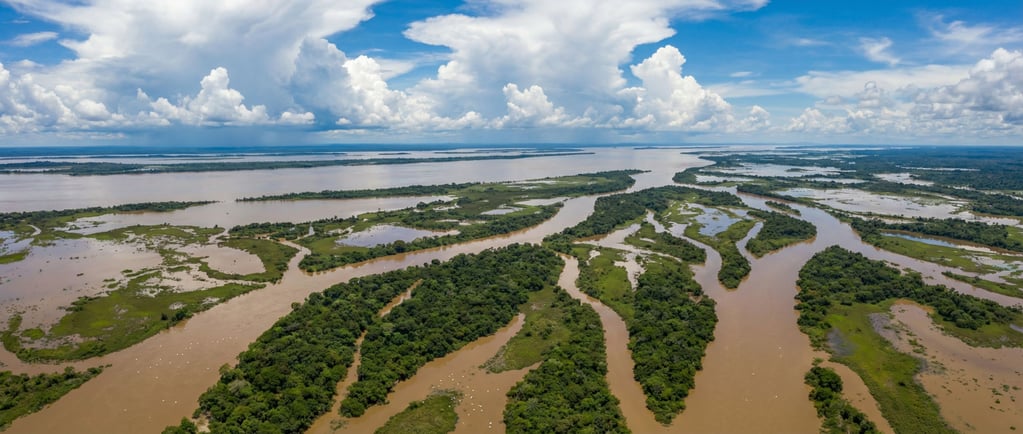 Aerial view of the Amazon River at its widest during wet season
