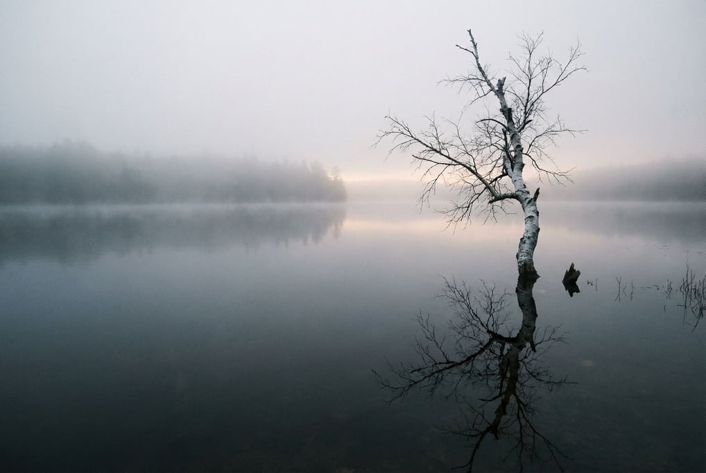 A misty Adirondack lake at twilight