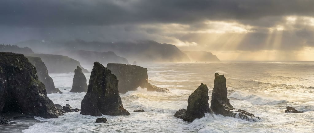 Sea stacks along a foggy coastline, dark basalt pillars rising from churning white surf (pnmcsc5j)