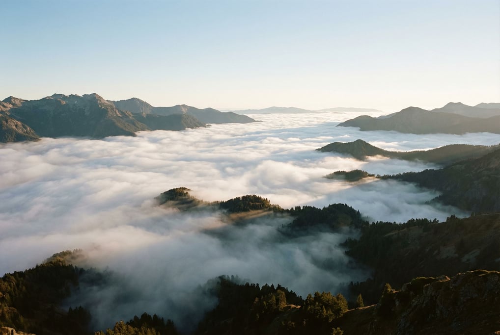 Fog filling a mountain valley at sunrise, treetops poking through like dark islands in a white sea (tpbu2hyv)