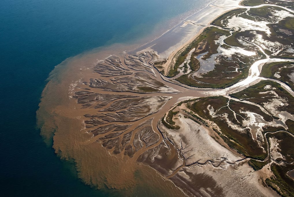 River delta branching into the sea seen from high above (cxj5plva)