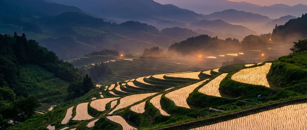 Terraced rice paddies reflecting sunset (knugt8u5)