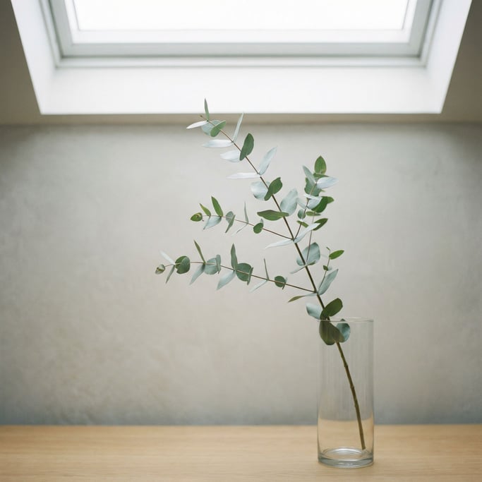 A single eucalyptus branch in a clear glass vase, backlit against a pale gray wall (tufrukks)