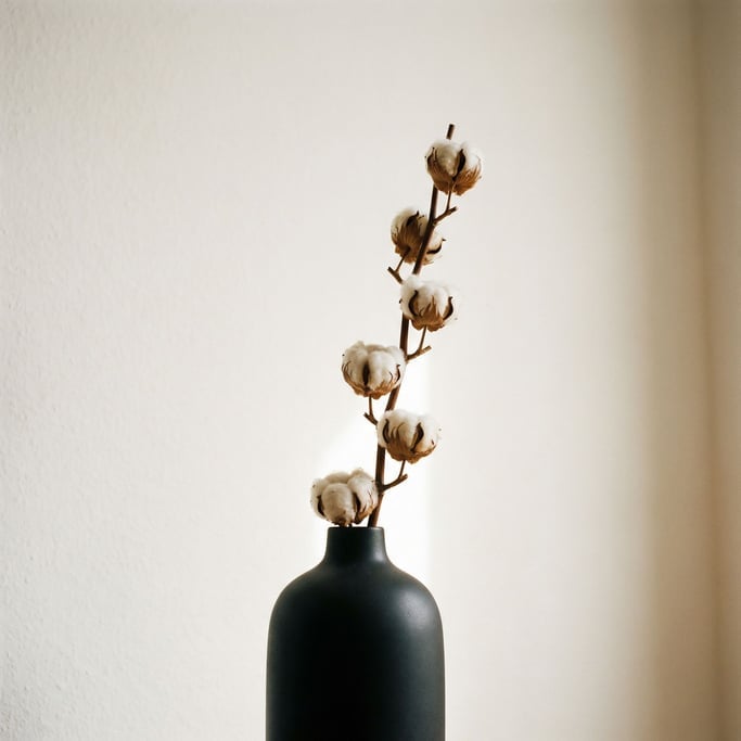 A single stem of dried cotton in a matte black vase, stark and minimal, negative space dominant (ap4os1)