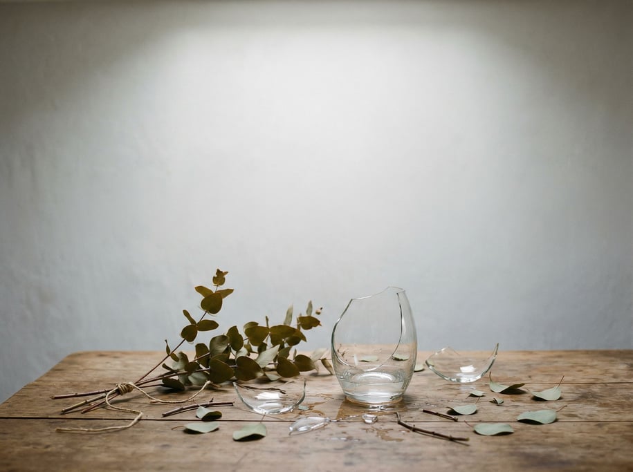 A single eucalyptus branch in a clear glass vase, backlit against a pale gray wall (kzgdwhjk)