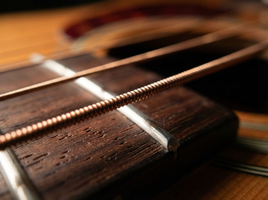 Macro shot of a guitar string crossing a fret