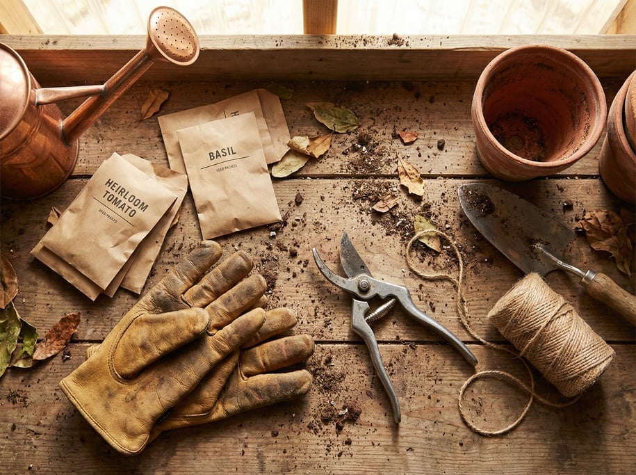 Soil crumbs and scattered leaves break the neatness of a gardening flat-lay on a rough potting bench: leather gloves
