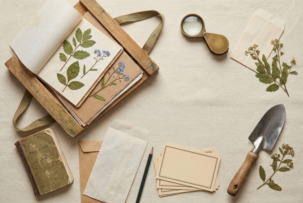 Flat-lay of a field botanist's collection tools on a canvas background
