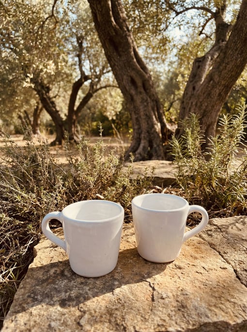 Gnarled olive tree trunks frame the background in soft focus as two simple white ceramic espresso cups sit on a large flat stone in a Mediterranean grove