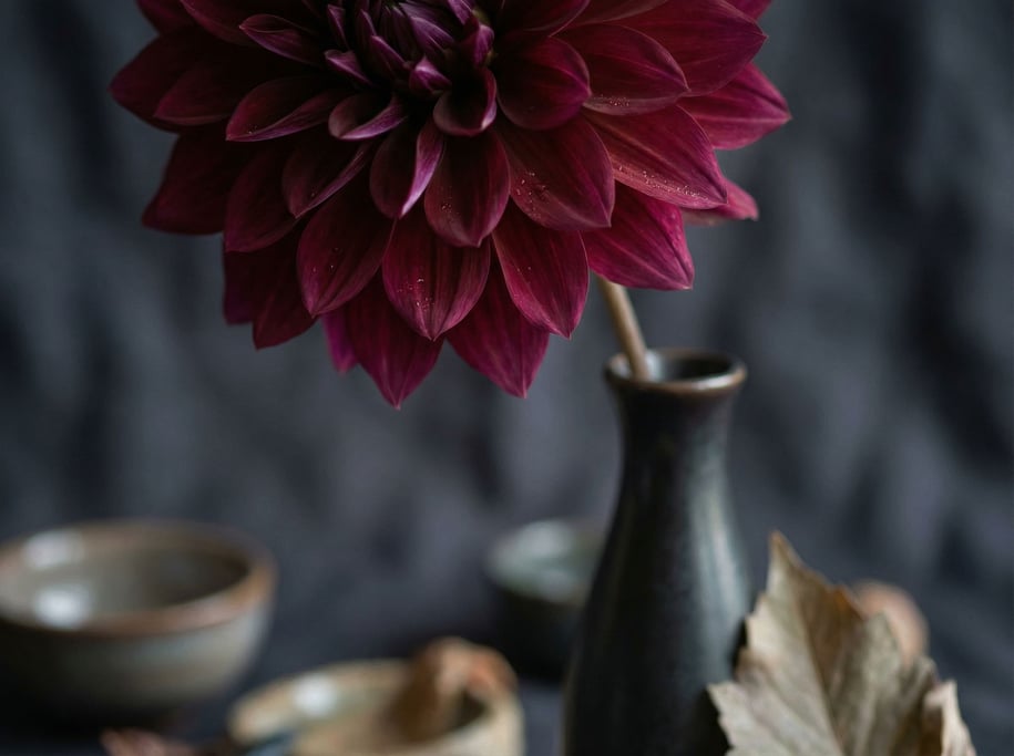 A single dahlia in a slim bud vase, deep burgundy petals, dark background, painterly quality (tvd8280w)