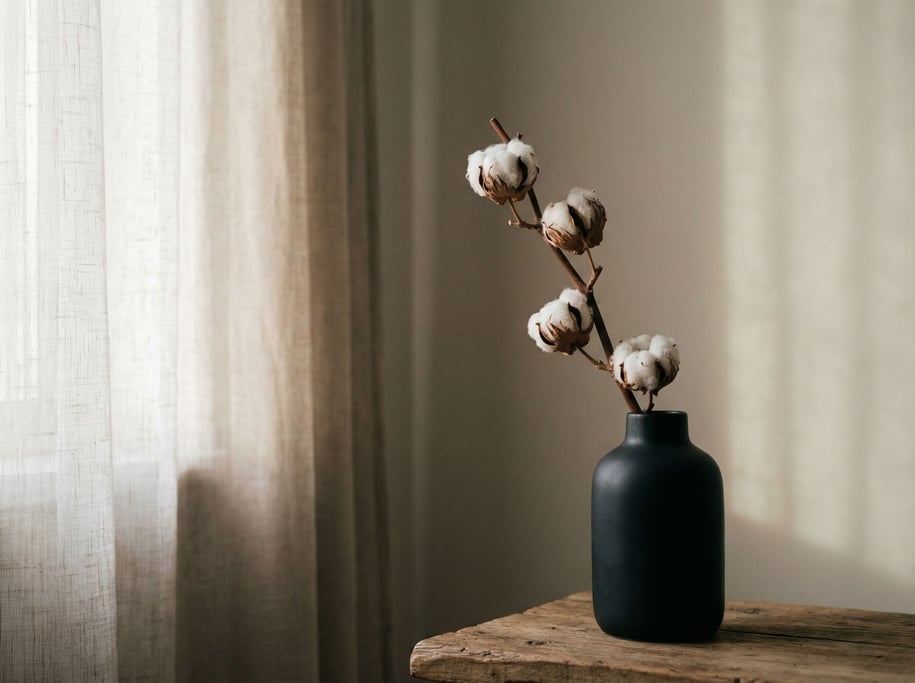 A single stem of dried cotton in a matte black vase, stark and minimal, negative space dominant (pbmo0ja0)