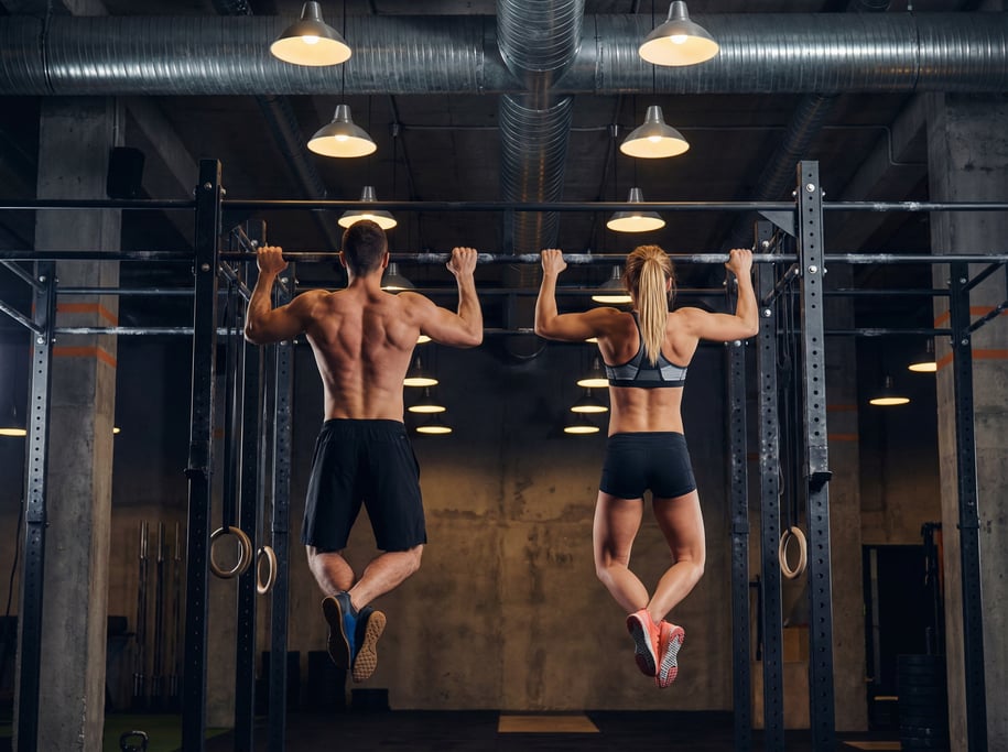 Two training partners doing synchronized pull-ups on a rig, backs to camera, matching rhythm