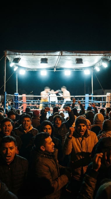 A crowd of spectators at an outdoor nighttime boxing match