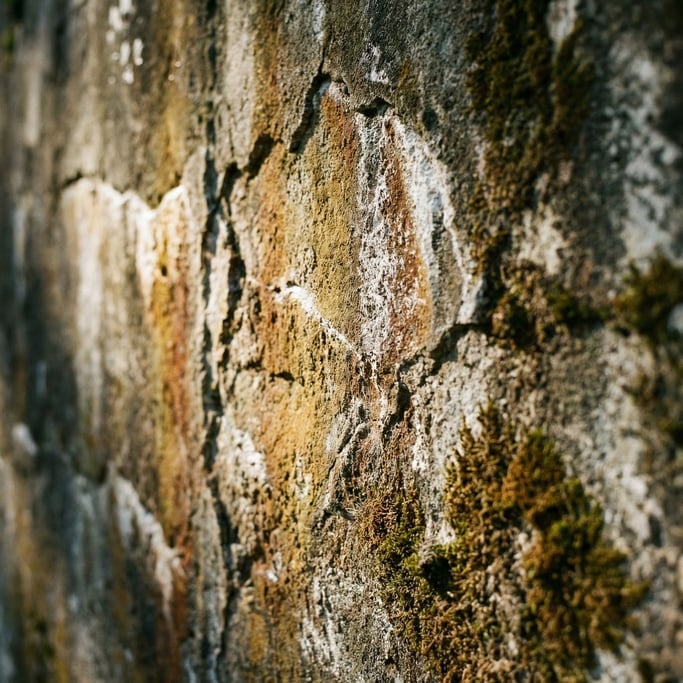 Extreme close-up of Old concrete wall with water stains, moss growth, and mineral deposits (doc6wnaj)