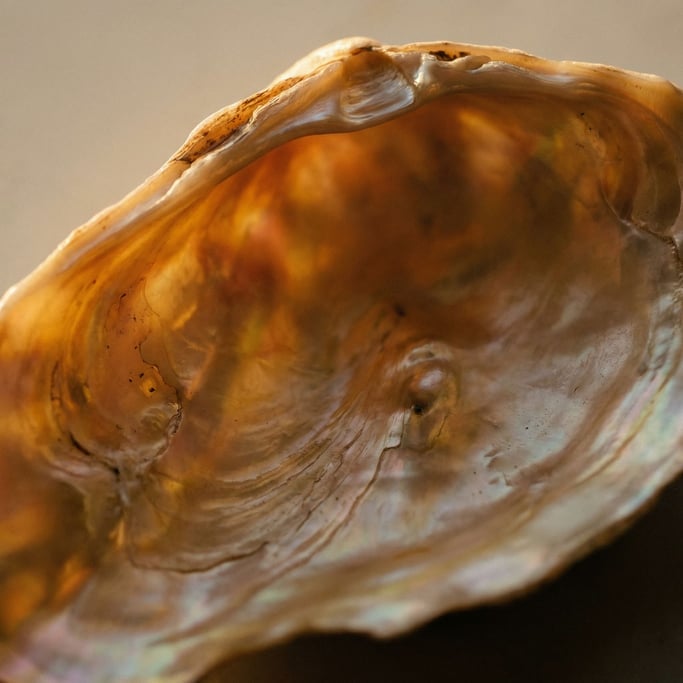 Detail photograph of Oyster shell interior